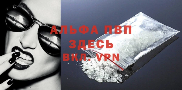 прущие грибы Кинешма
