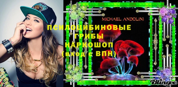 прущие грибы Кинешма