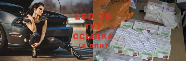 прущие грибы Кинешма