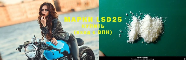 прущие грибы Кинешма