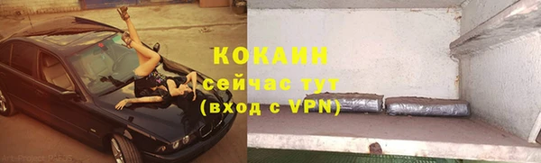 apvp Козельск