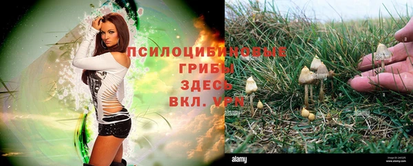 мескалин Козловка