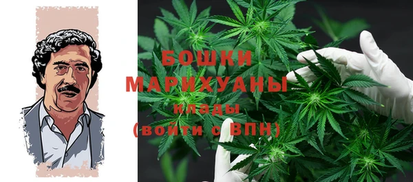 apvp Козельск